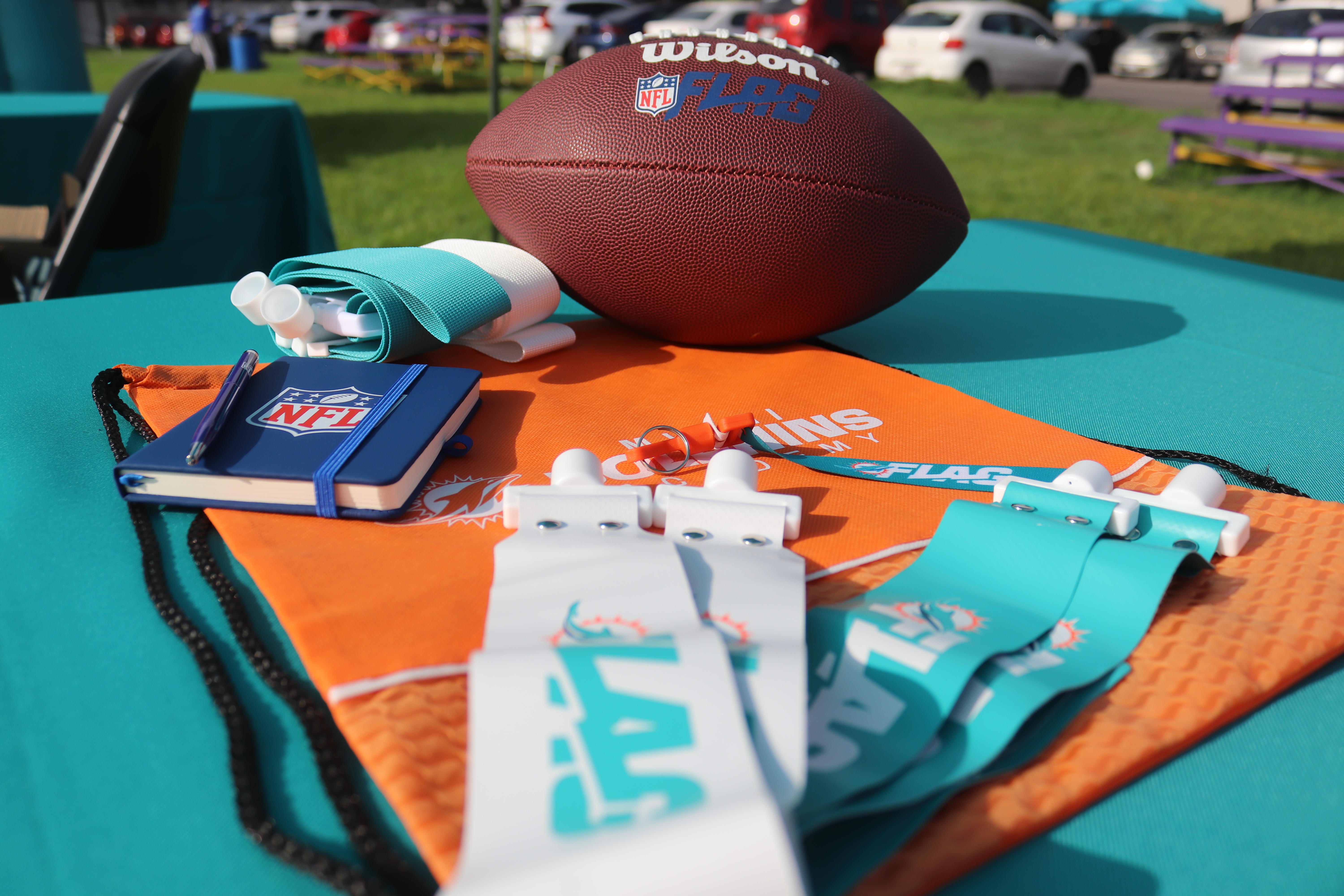 DOLPHINS