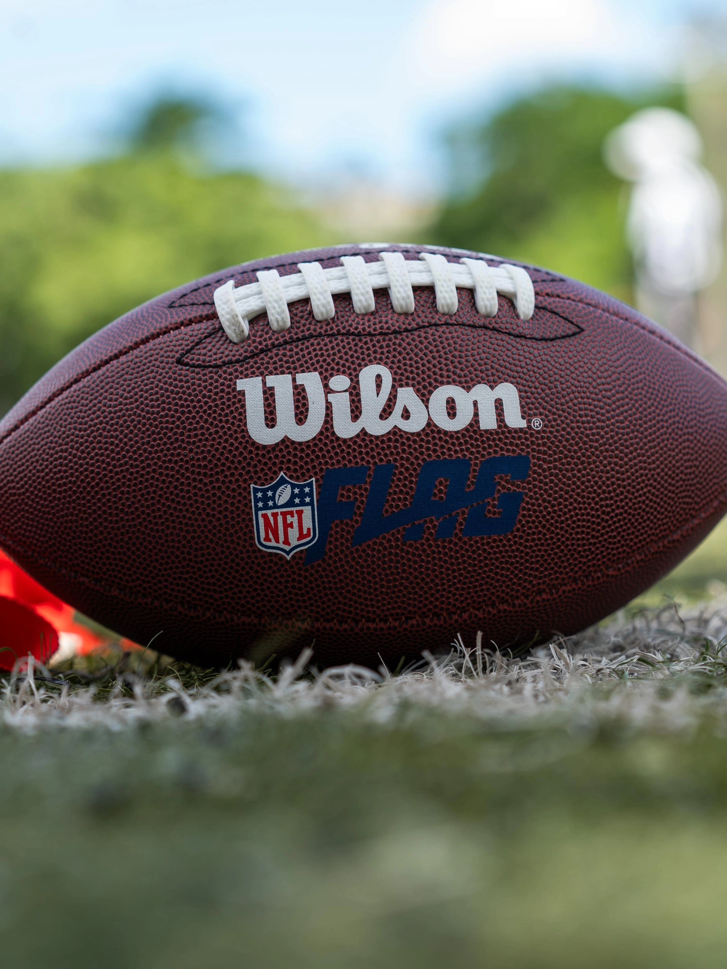 Wilson football